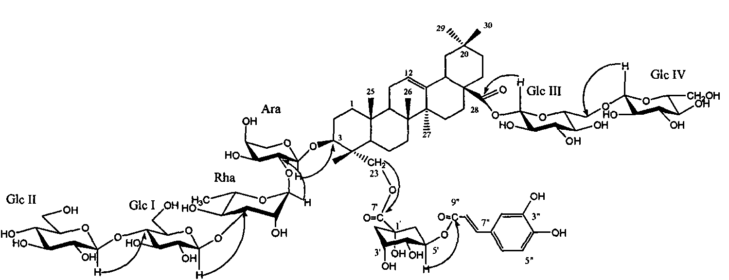 New honeysuckle chlorogenic acid ester saponin as well as preparation method and use thereof