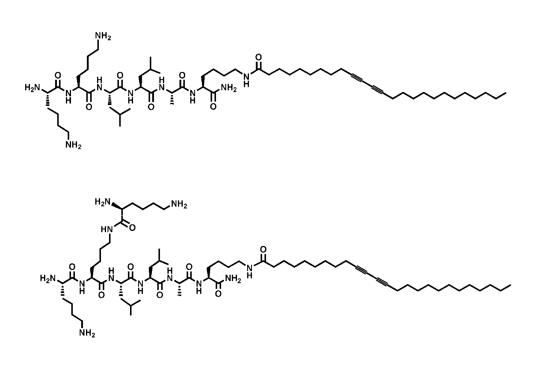 Self-assembling peptide amphiphiles