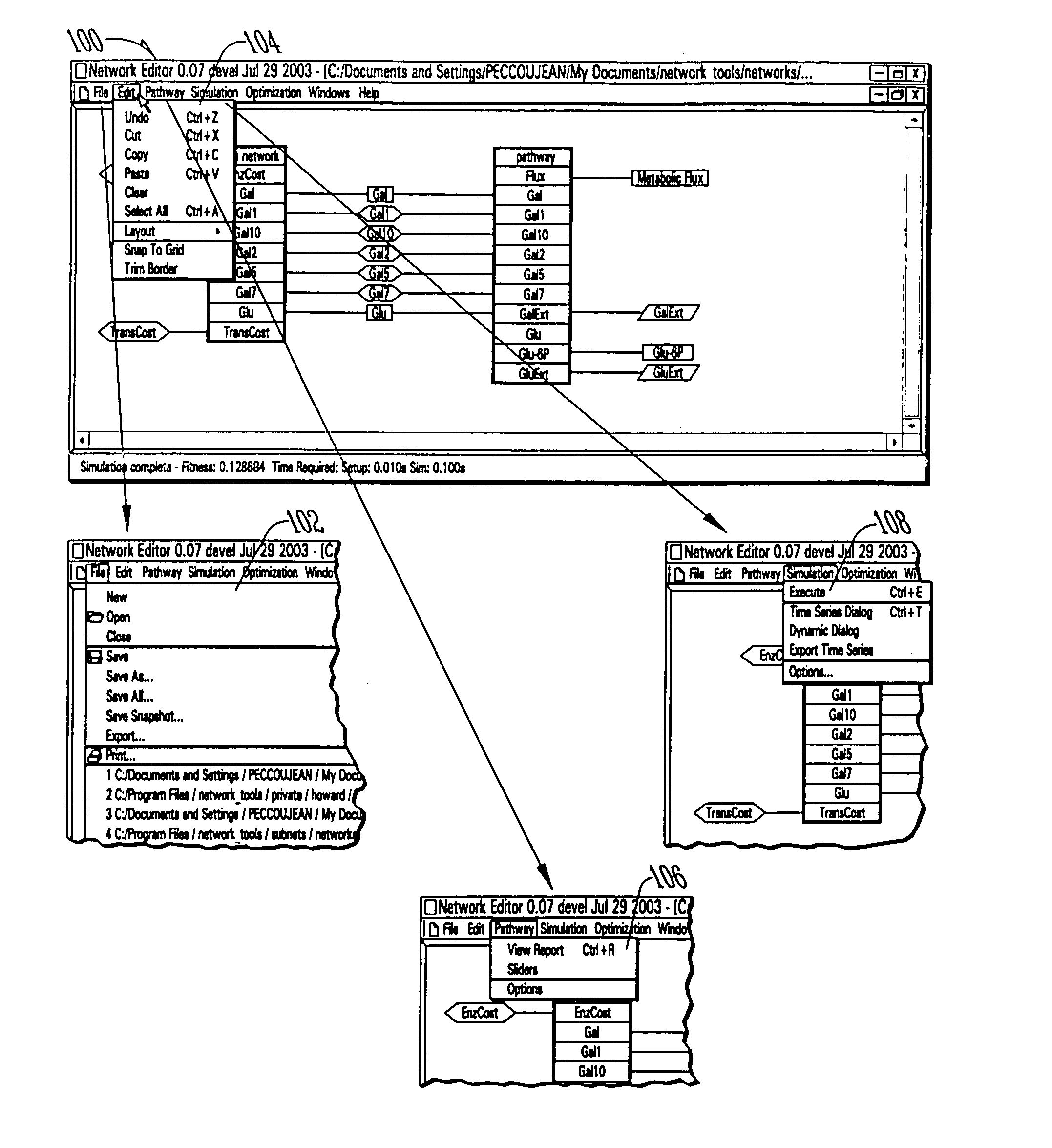 Computer systems and methods for genotype to phenotype mapping using molecular network models
