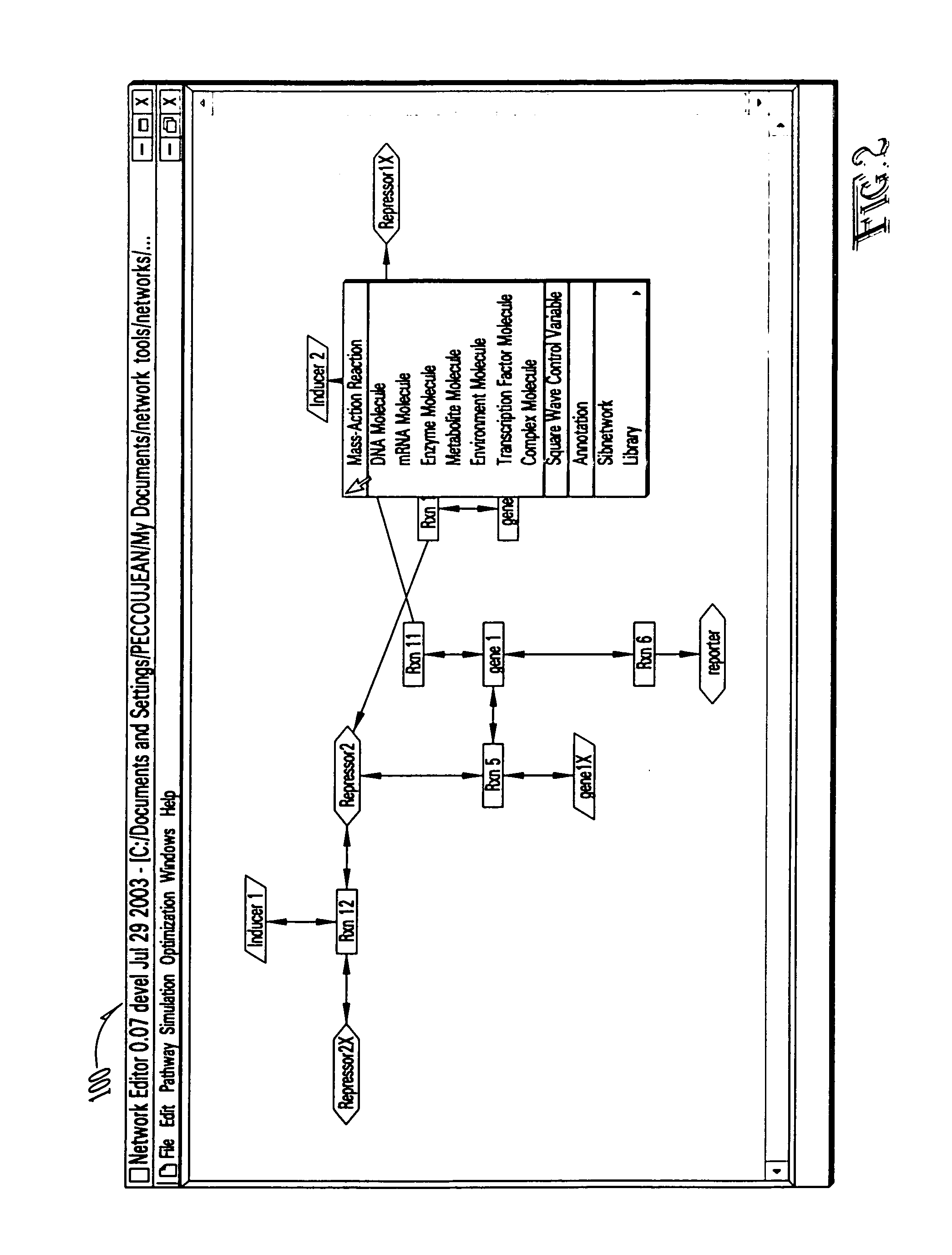 Computer systems and methods for genotype to phenotype mapping using molecular network models