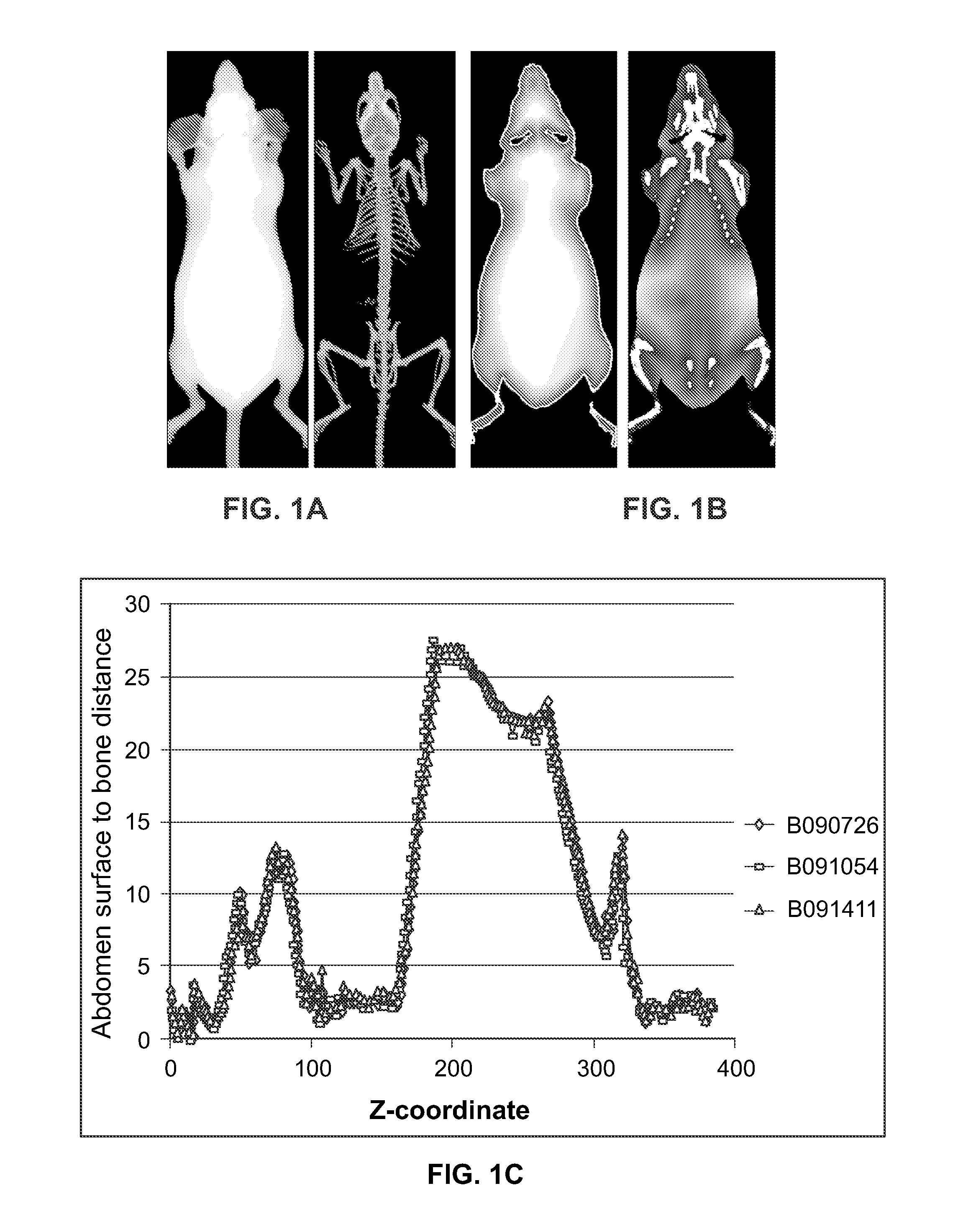 Method and system for automated detection of tissue interior to a mammalian ribcage from an in vivo image