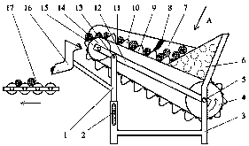 Automatic red date feeding device