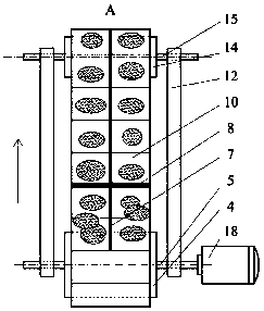 Automatic red date feeding device