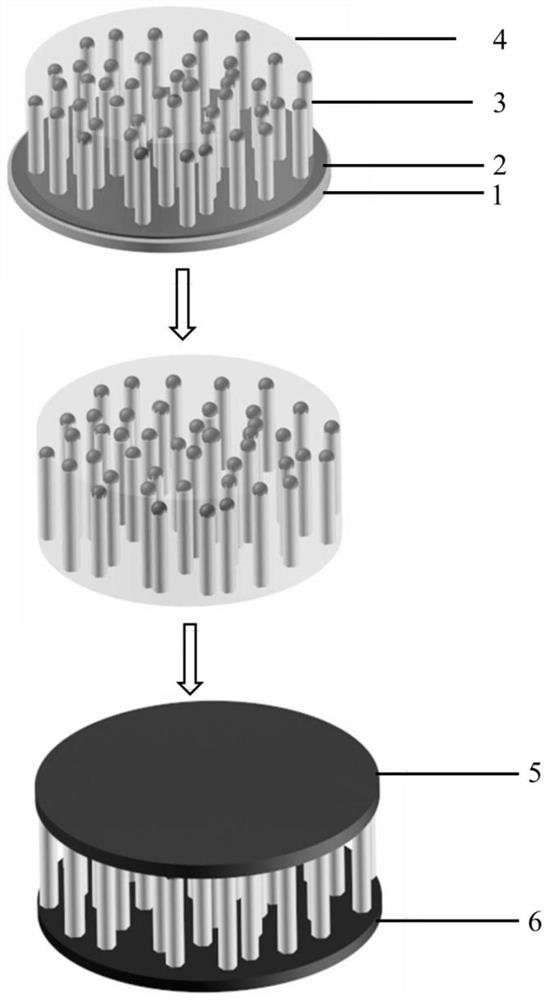 A kind of preparation method of nanowire array device