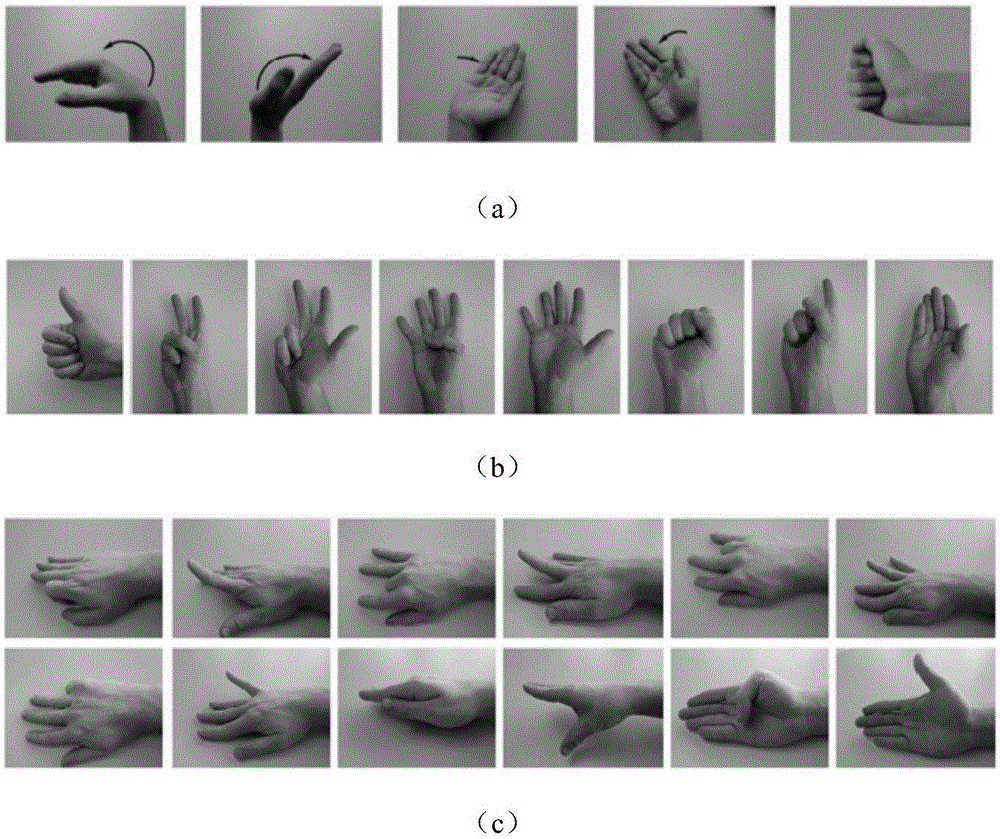Support vector machine based surface electromyogram signal multi-hand action identification method