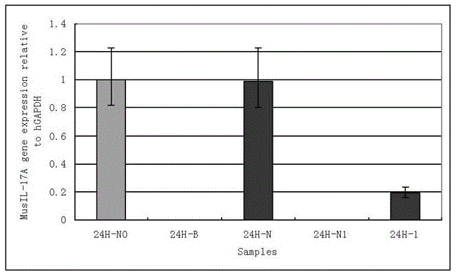 Sequence siRNA-136 achieving targeted inhibition of mouse interleukin-17A gene