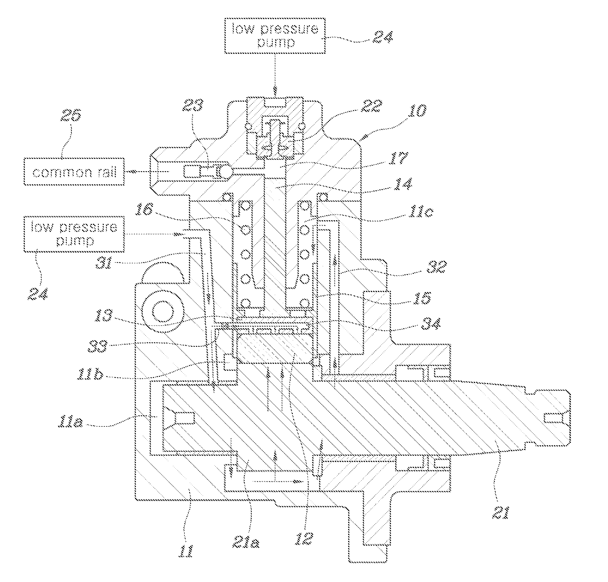 Lubrication apparatus of high pressure pump for common rail system