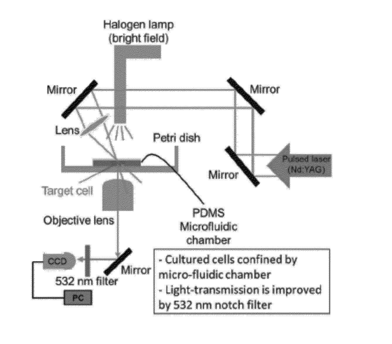 Systems and methods for single cell isolation and analysis