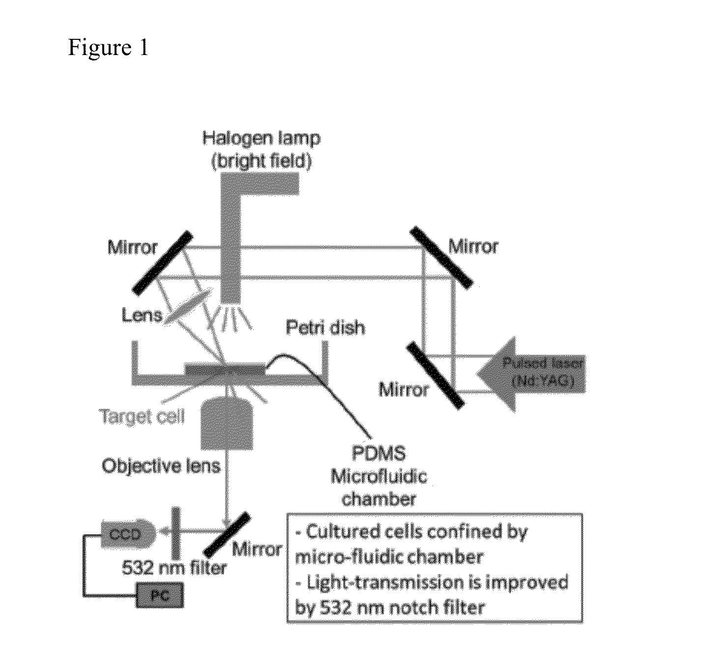 Systems and methods for single cell isolation and analysis