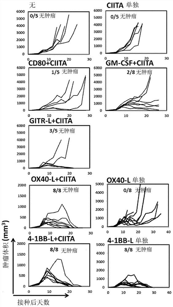 Major histocompatibility complex class ll-expressing cancer cell vaccine and methods of use for producing integrated immune responses