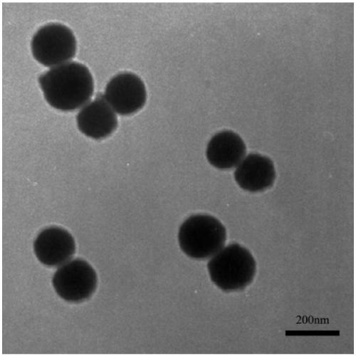 Preparation method and application of phospholipid-coated polyacrylic acid/zinc phosphate nanoparticles