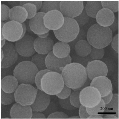 Preparation method and application of phospholipid-coated polyacrylic acid/zinc phosphate nanoparticles