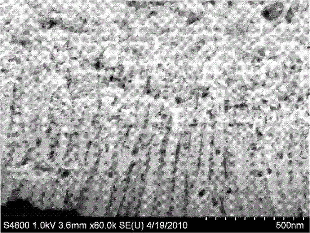 SnO2-Fe2O3NTs (SnO2-Fe2O3 nanotubes) composite electrode and preparation method thereof