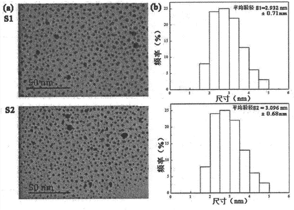 Application method for gene transfection by using polyamide-amine dendritic polymer and gold nano-particle compound as non-viral vector