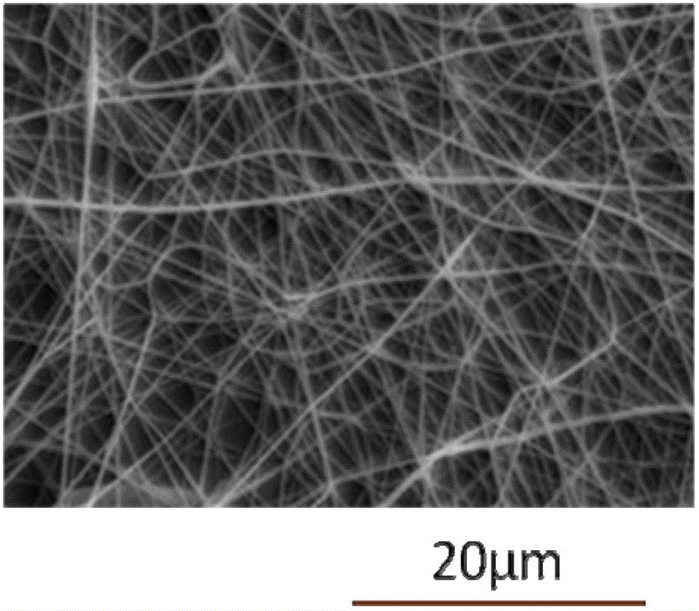 Fabrication of Biodegradable Polymer Nanofiber Membranes by Emulsion Electrospinning