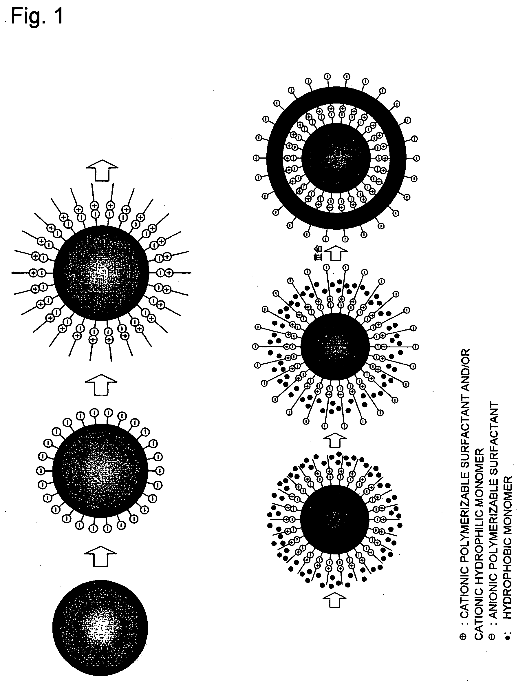 Encapsulation product, process for producing the same, and ink composition