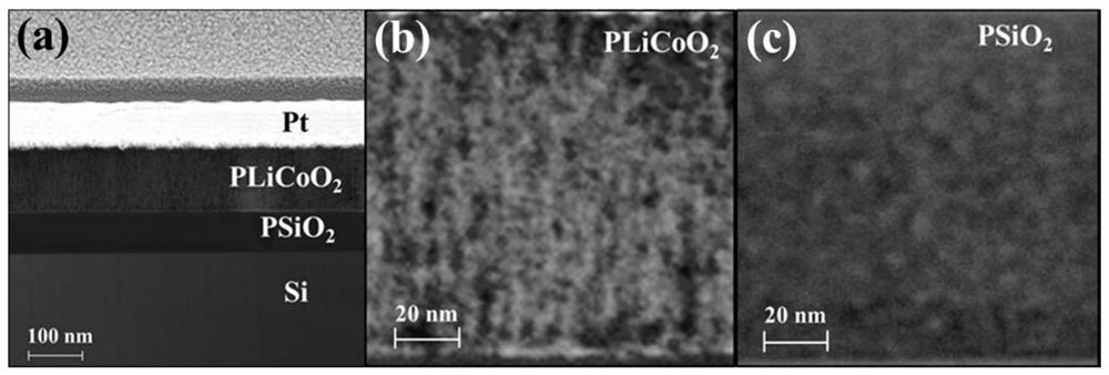 Preparation method of double-layer porous oxide structure based on artificial synapse function