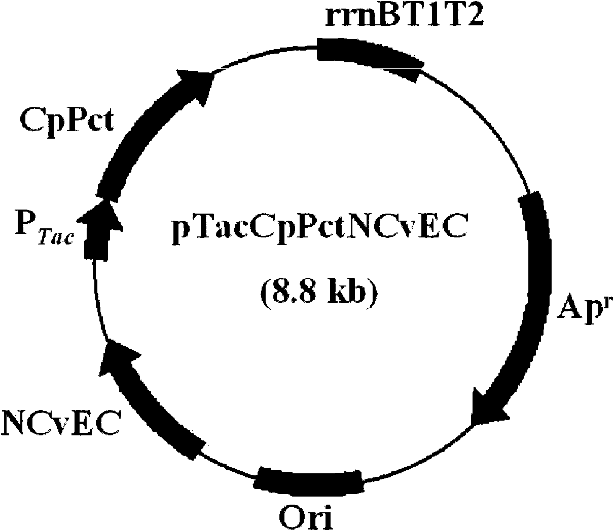 Copolymer comprising 4-hydroxybutyrate unit and lactate unit and its manufacturing method