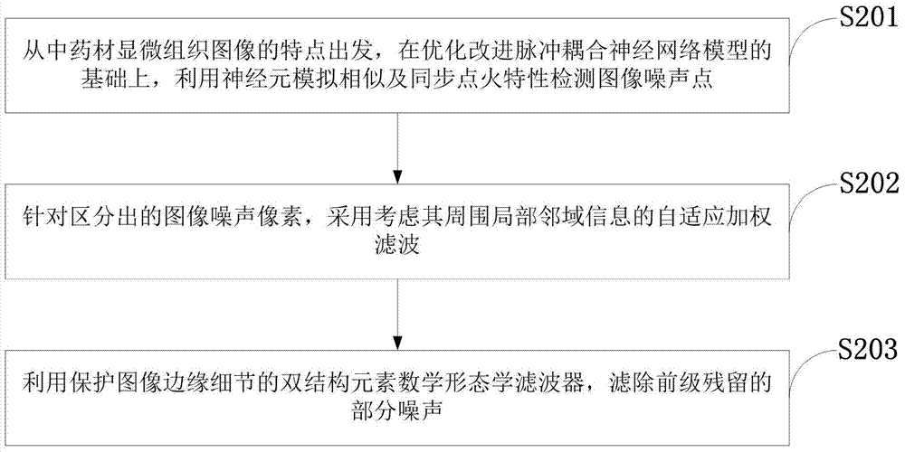 Traditional Chinese medicinal material microscopic image noise filtering system and method adopting pulse coupling neural network