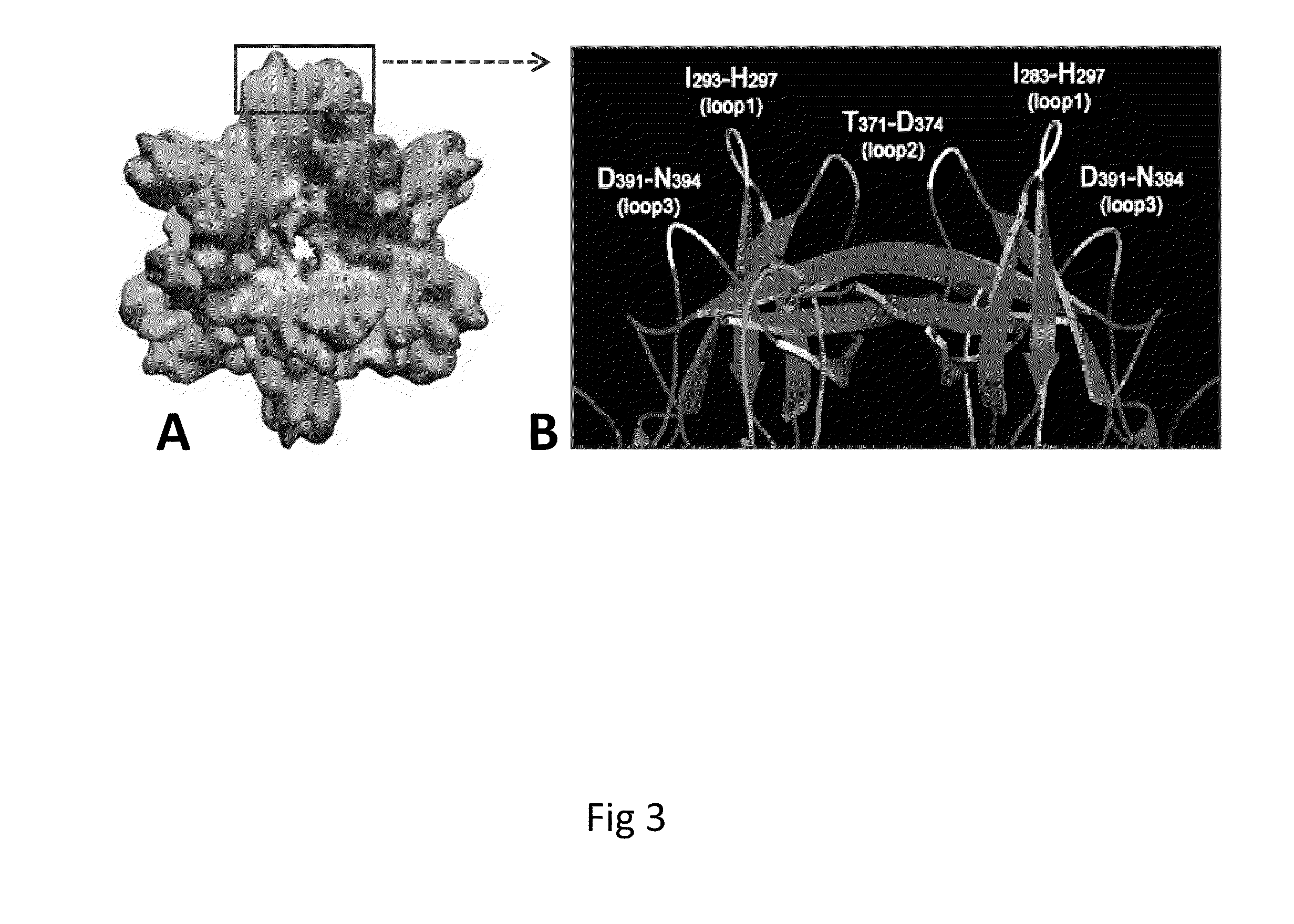 Antigen-norovirus P-domain monomers and dimers, antigen-norovirus P-particle molecules, and methods for their making and use