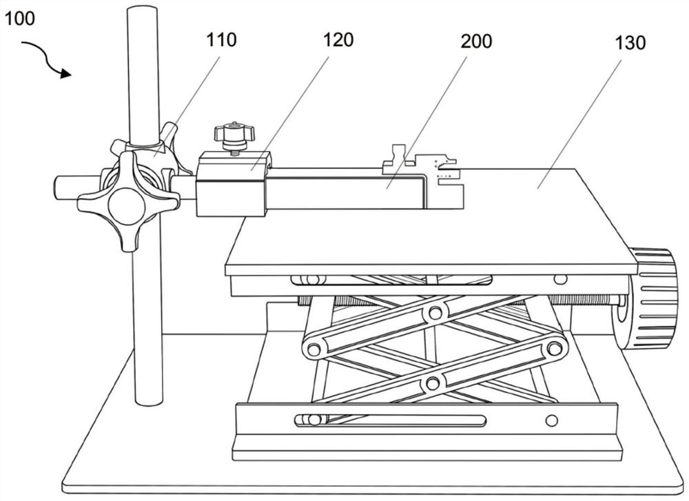 Animal femoral surgery positioning and fixing frame