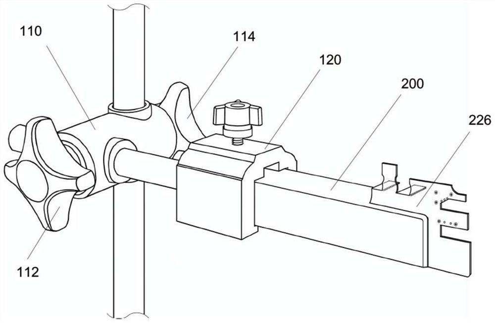 Animal femoral surgery positioning and fixing frame