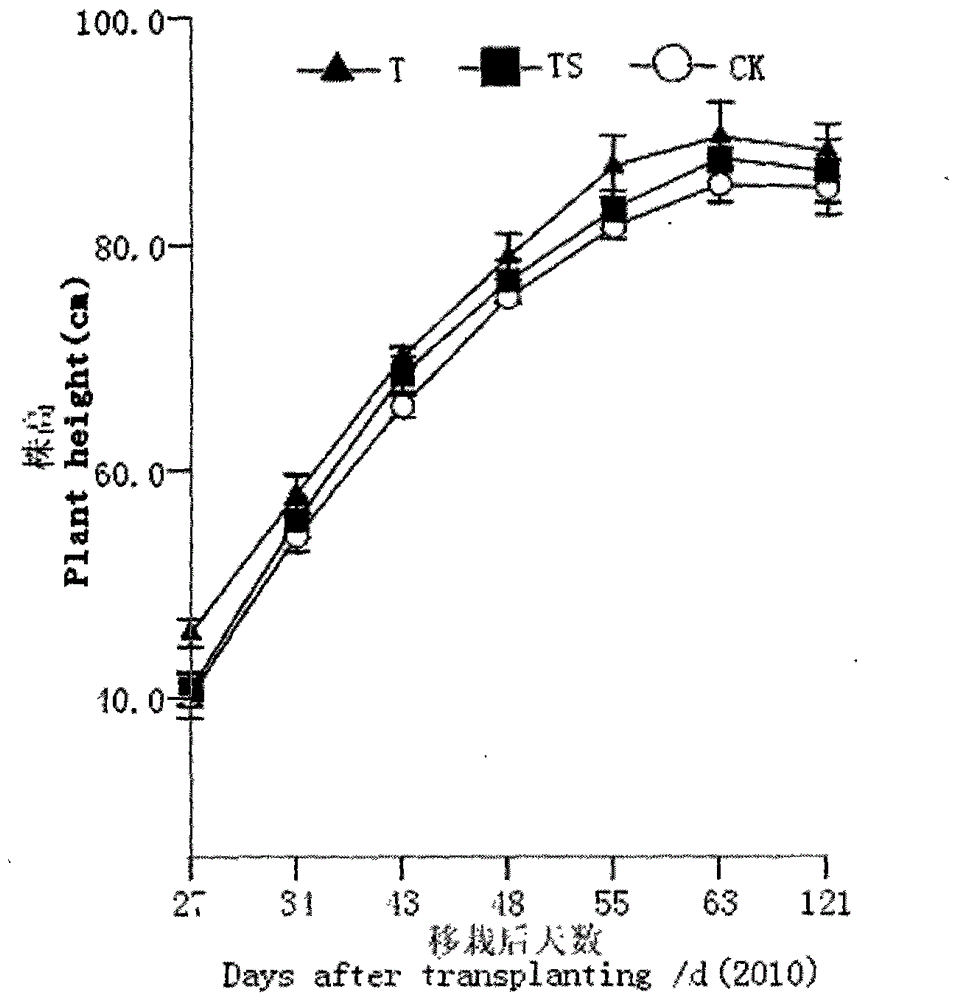 A kind of seedling raising method of disc type drill