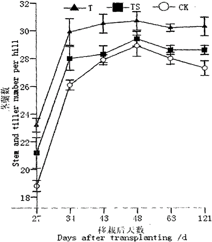 A kind of seedling raising method of disc type drill