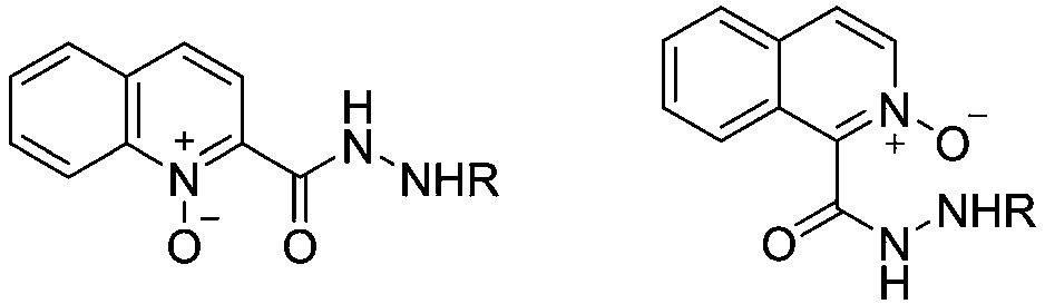 N-arylation method in aqueous phase system with substituted quinoline or isoquinoyl hydrazide pyridine-N-oxide as ligand