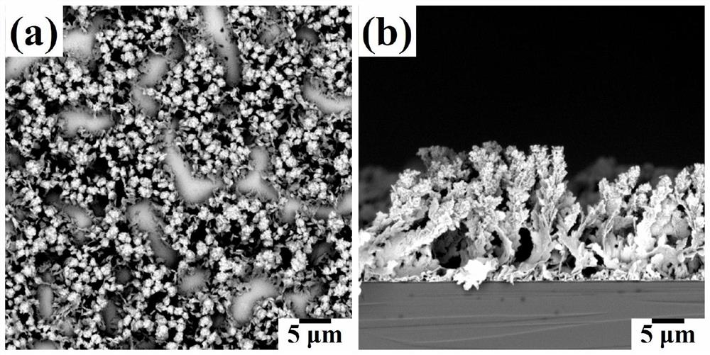 Preparation method of kelp-shaped silver structure