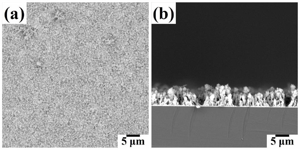 Preparation method of kelp-shaped silver structure