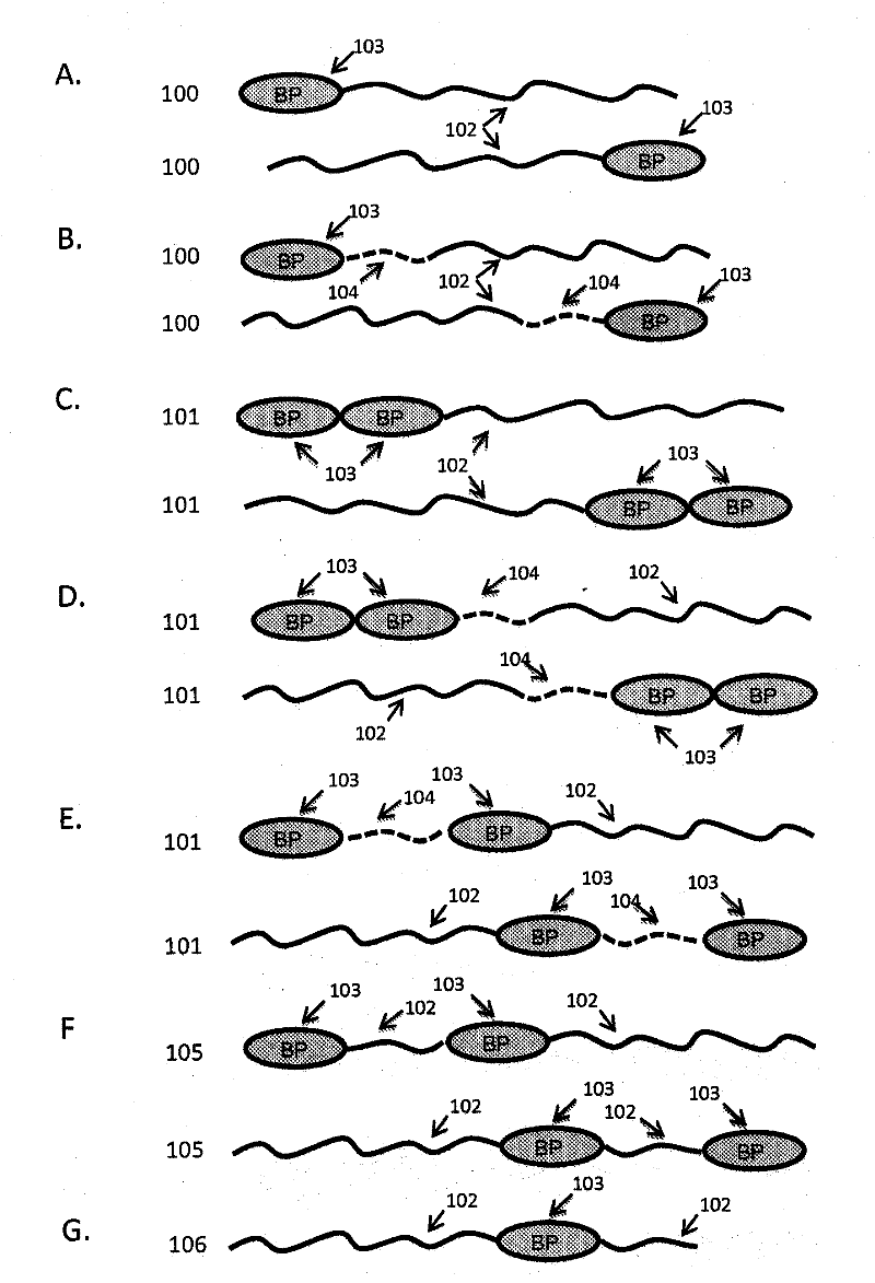 Extended recombinant polypeptides and compositions comprising same