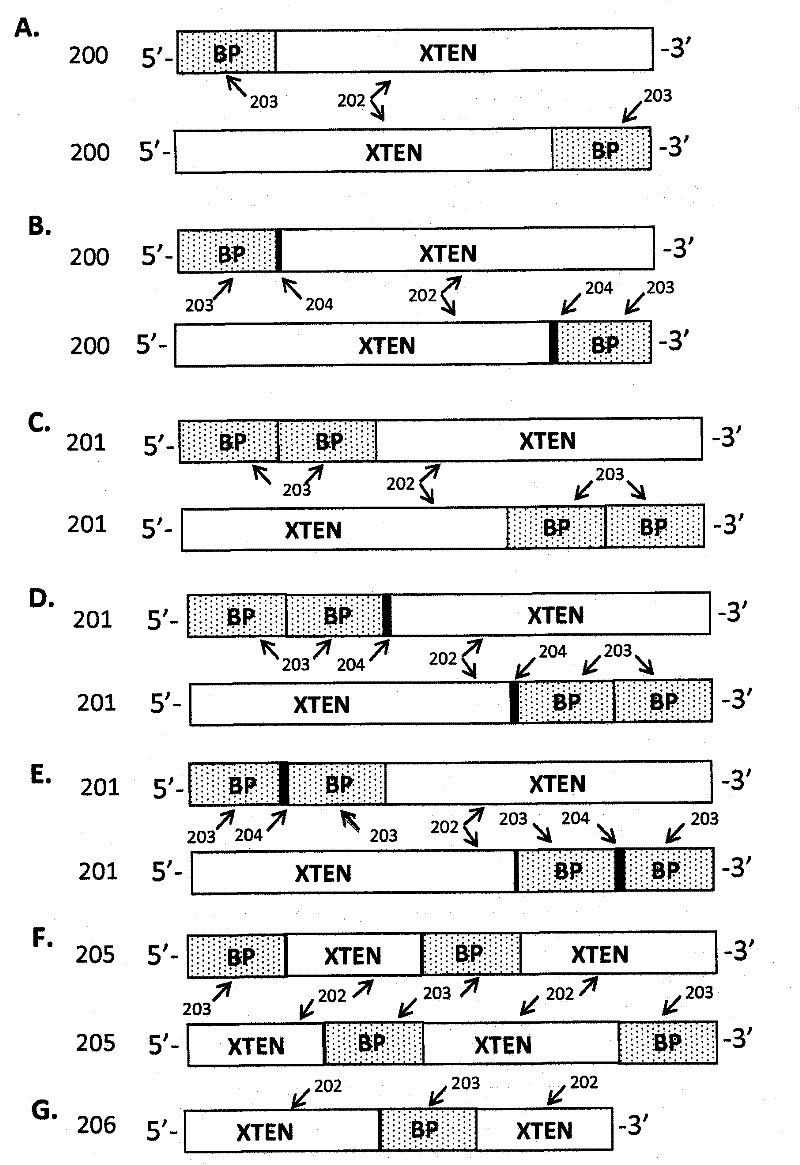 Extended recombinant polypeptides and compositions comprising same