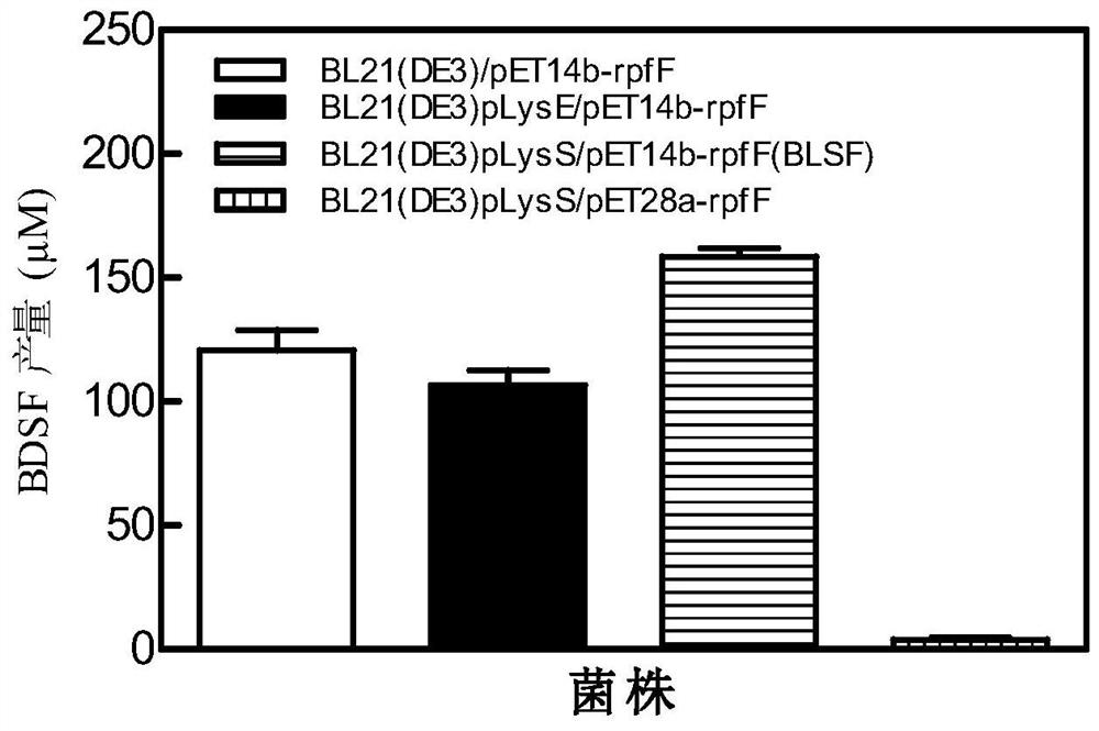 bdsf high-yield strain and its fermentation optimization method and application