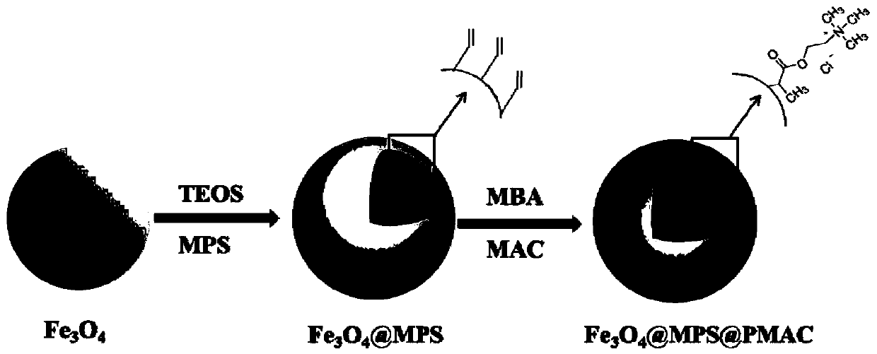 A kind of surface polymerized ionic liquid modified magnetic nanomaterial and its preparation method and application