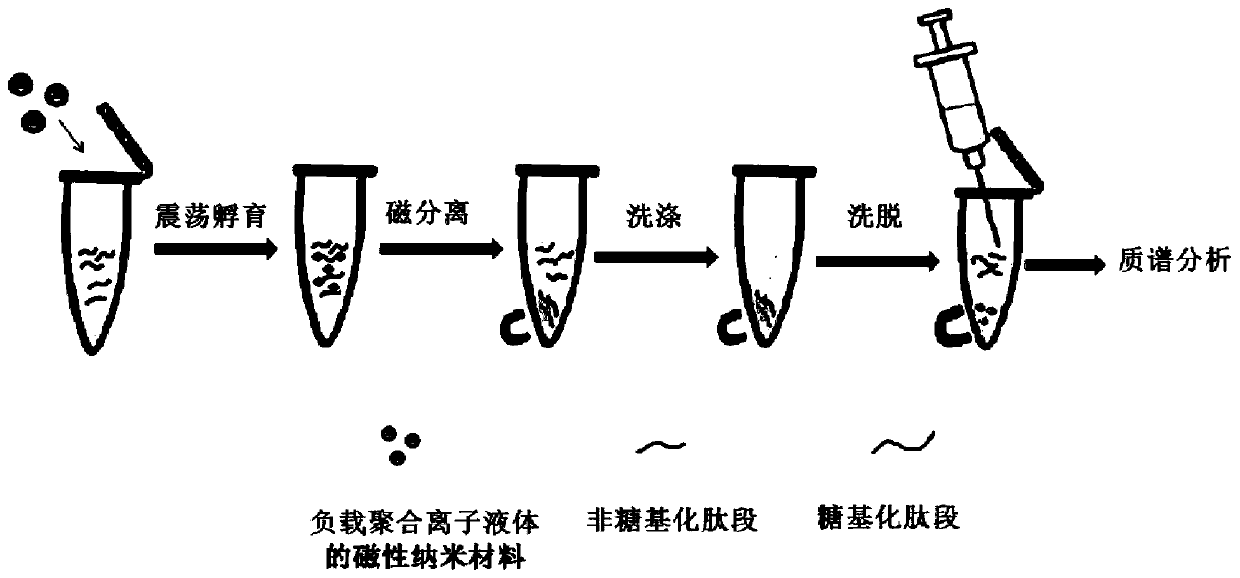 A kind of surface polymerized ionic liquid modified magnetic nanomaterial and its preparation method and application