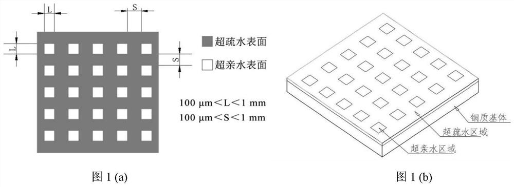 Hydrophilic-hydrophobic heterogeneous patterned surface for enhancing dropwise condensation and preparation method