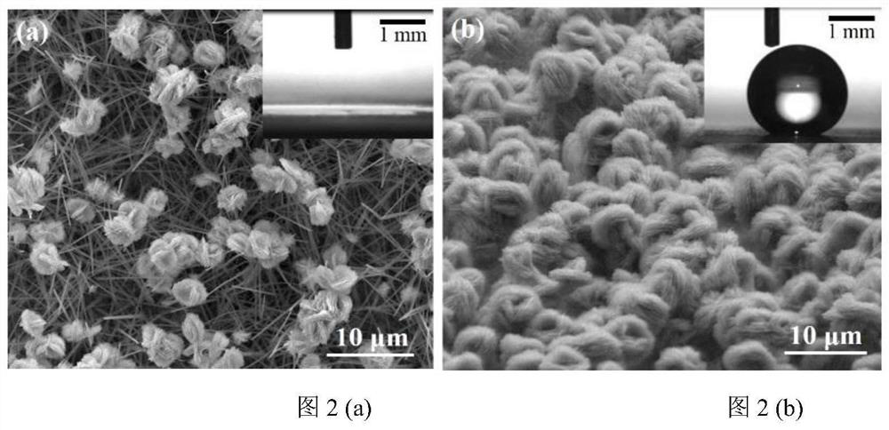 Hydrophilic-hydrophobic heterogeneous patterned surface for enhancing dropwise condensation and preparation method