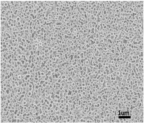 Electrochromic material as well as preparation method and application thereof