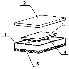 Shock absorption apparatus for computer hard disk