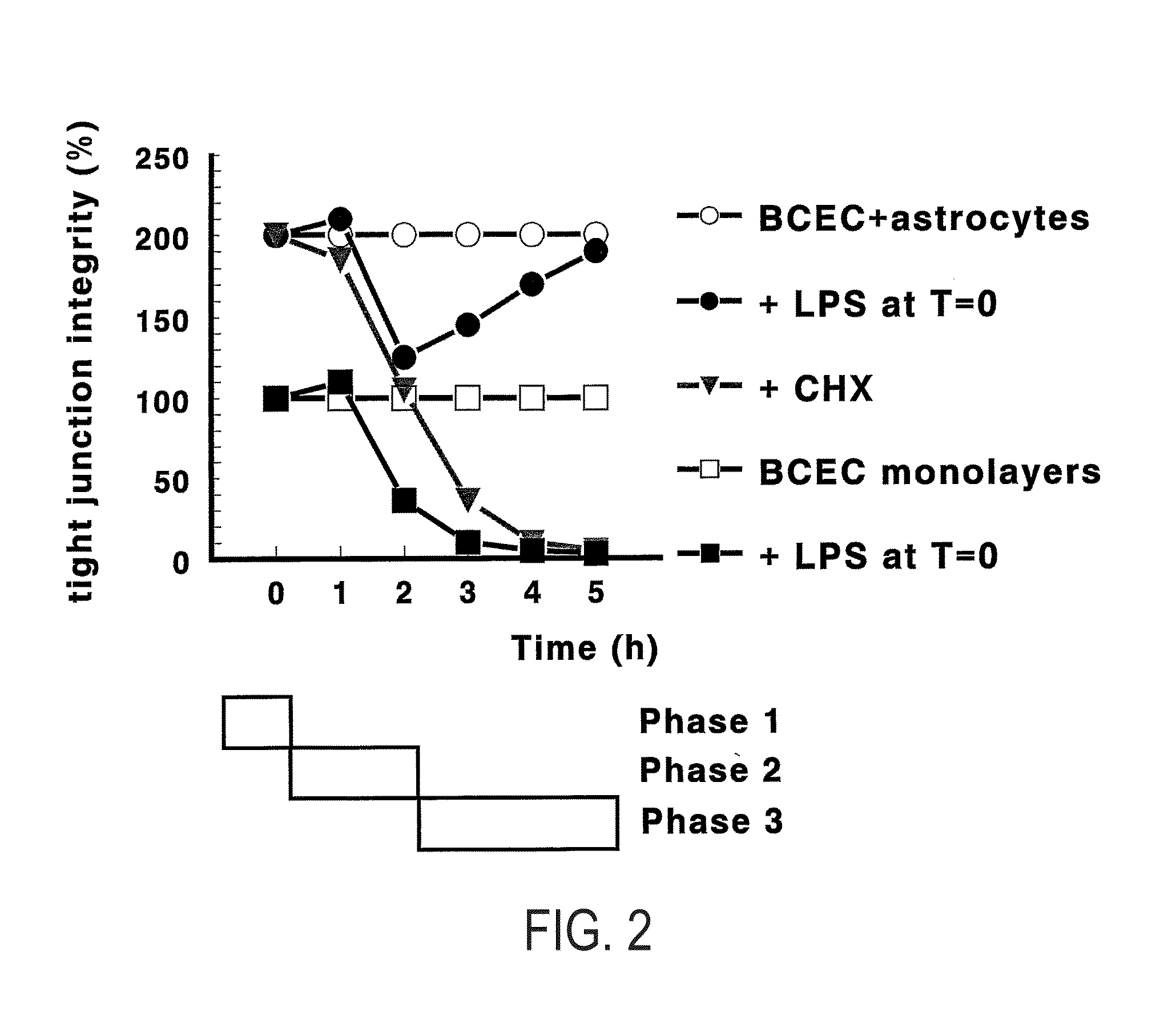 Methods and compositions for targeting agents into and across the blood-brain barrier and other endothelial cell microvascular barriers