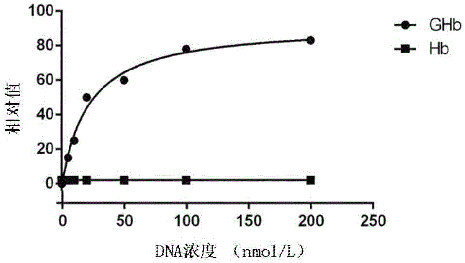 A kind of nucleic acid aptamer of glycosylated hemoglobin and its preparation method