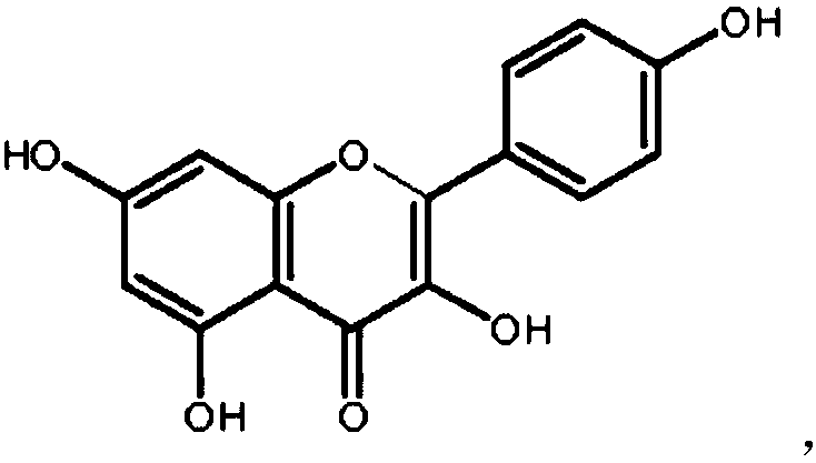 Application of kaempferol in preparation of medicine for rheumatoid arthritis