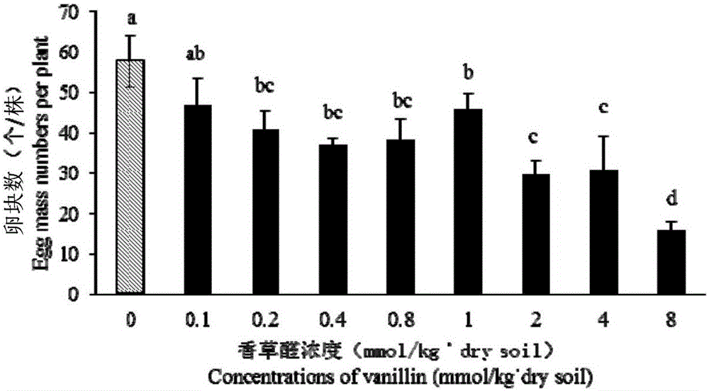 Application method for applying vanilline under soil conditions to prevent and treat meloidogyne incognita chitwood