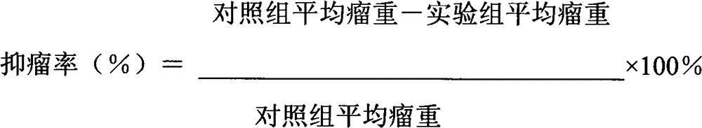 Fermentation production method and application of high-yield exopolysaccharide strain and amylase thereof