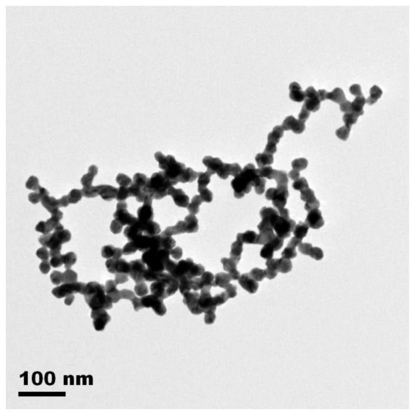 Method for preparing chain-link-shaped gold nanowire through electrochemical method