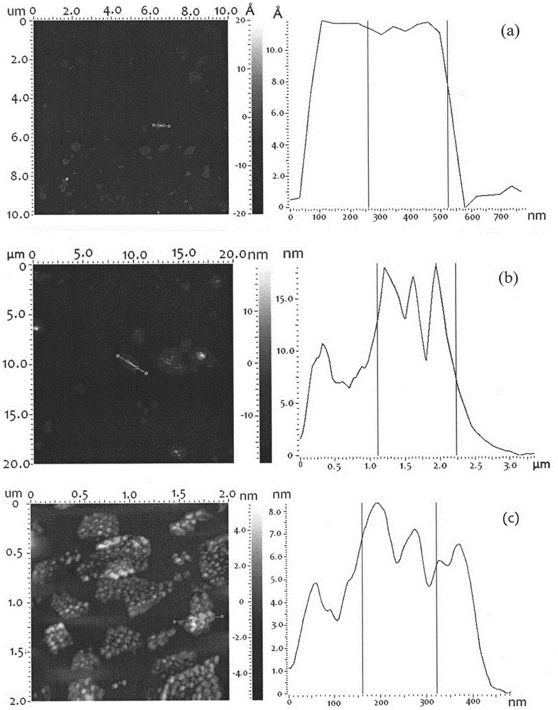 A kind of polymer grafted graphene oxide and preparation method thereof
