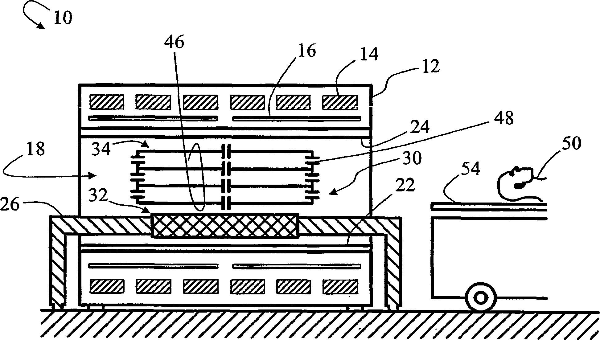 Hybrid TEM/birdcage coil for MRI