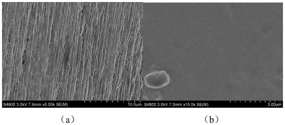 Graphene enhanced photo-thermal evaporation membrane, membrane assembly and sewage concentration treatment device