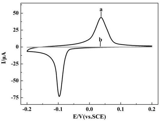 Preparation method of phospholipase C sensor based on atom transfer radical polymerization